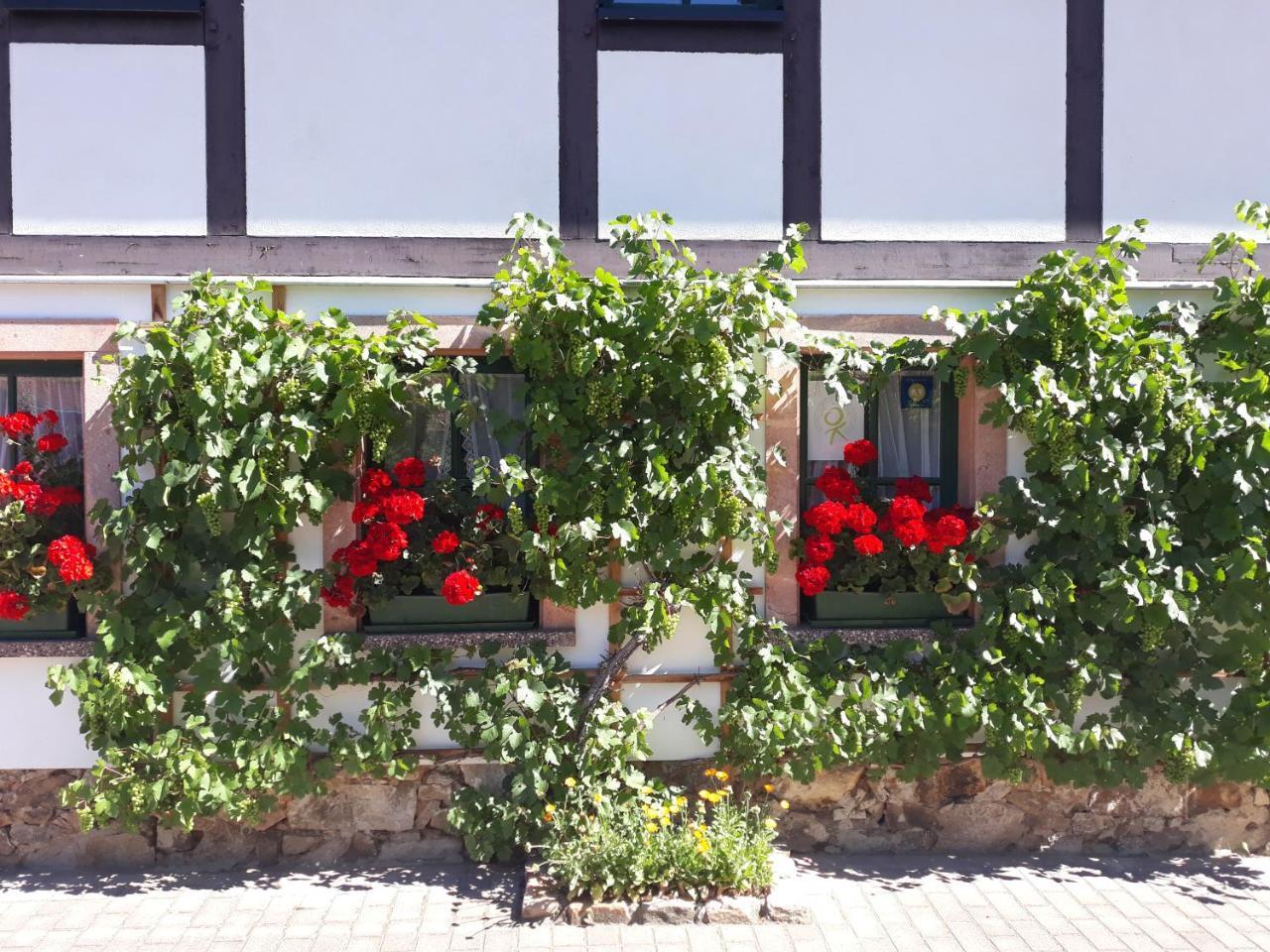 Hotel Balancehaus Kohren-Sahlis, Dein Kurhaus In Sachsen Exteriér fotografie